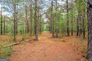 6995 Cobbham Rd, Applin, GA 30802 - Photo 1