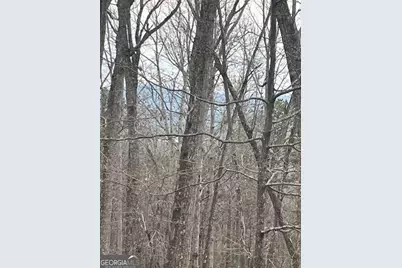 0 Brumby Run #8, Blairsville, GA 30512 - Photo 5