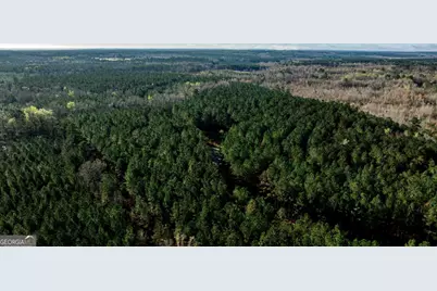 0 Highway 22 Highway N, Sparta, GA 31087 - Photo 15