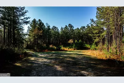 0 Highway 22 Highway N, Sparta, GA 31087 - Photo 13