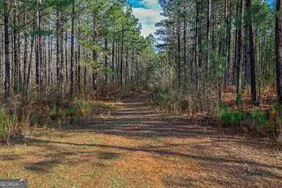0 Highway 22 Highway N, Sparta, GA 31087 - Photo 5