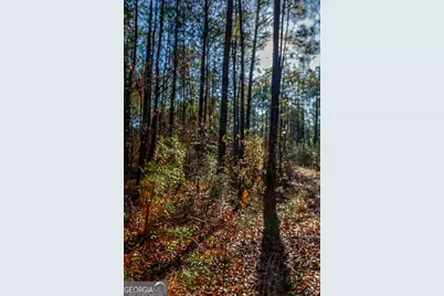 0 Highway 22 Highway N, Sparta, GA 31087 - Photo 3