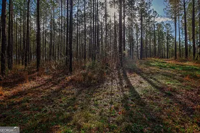 0 Highway 22 Highway N, Sparta, GA 31087 - Photo 7
