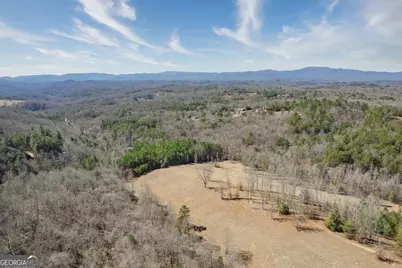 560 Endless View Road, Mineral Bluff, GA 30559 - Photo 37