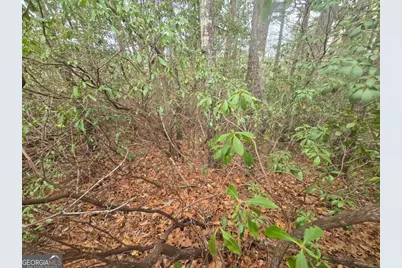 35 Vienna Ring, Helen, GA 30545 - Photo 1