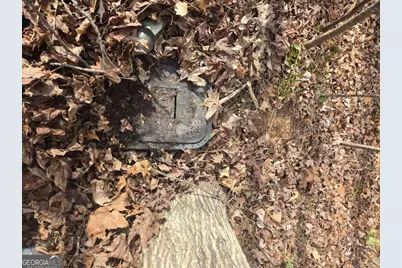 35 Vienna Ring, Helen, GA 30545 - Photo 5