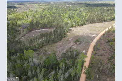 0 Old Dellwood Road, Swainsboro, GA 30401 - Photo 7