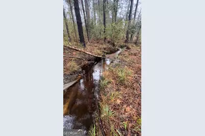 0 Old Dellwood Road, Swainsboro, GA 30401 - Photo 3