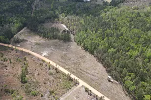 0 Old Dellwood Rd, Swainsboro, GA 30401 - Photo 1