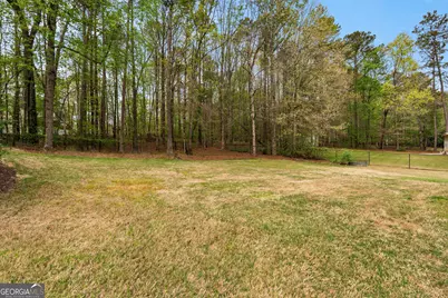 145 Ryans Court, Sharpsburg, GA 30277 - Photo 45