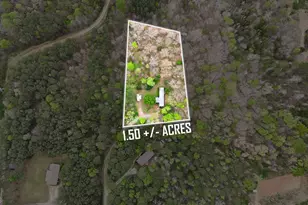 2529 McFarlin Bridge Rd, Carnesville, GA 30521 - Photo 9