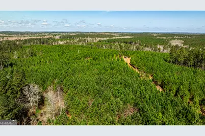 250 Linton Rd., Milledgeville, GA 31061 - Photo 5