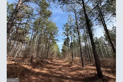 250 Linton Rd., Milledgeville, GA 31061 - Photo 3