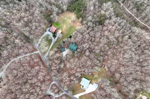 260 Bailey Farm Dr, Mineral Bluff, GA 30559 - Photo 9