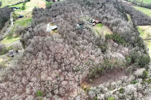 260 Bailey Farm Dr, Mineral Bluff, GA 30559 - Photo 11