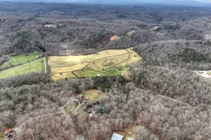 260 Bailey Farm Dr, Mineral Bluff, GA 30559 - Photo 13