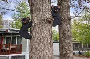 4 Evergreen Trail, Cleveland, GA 30528 - Photo 3