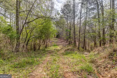 3585 Old Highway 100 S, Tallapoosa, GA 30176 - Photo 7