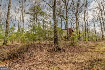 3585 Old Highway 100 S, Tallapoosa, GA 30176 - Photo 1