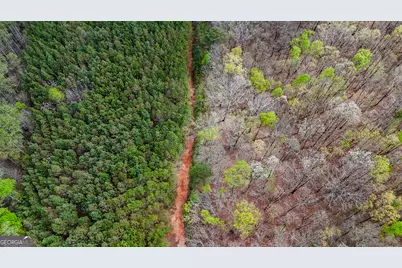 78 Acres Cross Plains Rd Road, Carrollton, GA 30116 - Photo 9