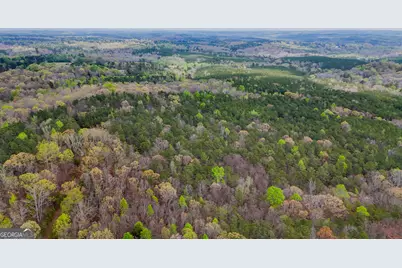 78 Acres Cross Plains Rd Road, Carrollton, GA 30116 - Photo 5