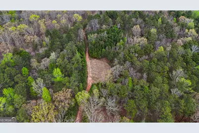 78 Acres Cross Plains Rd Road, Carrollton, GA 30116 - Photo 7
