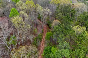 78 Acres Cross Plains Rd Rd, Carrollton, GA 30116 - Photo 1