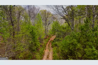 78 Acres Cross Plains Rd Road, Carrollton, GA 30116 - Photo 13