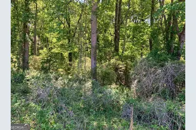 4038 W McIntosh Road, Griffin, GA 30223 - Photo 5