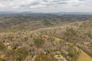 133 Dallas Ln, Blue Ridge, GA 30513 - Photo 55