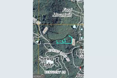0 Bald Mountain #55,57, Dillard, GA 30537 - Photo 3