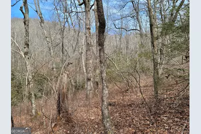 0 Bald Mountain #55,57, Dillard, GA 30537 - Photo 17