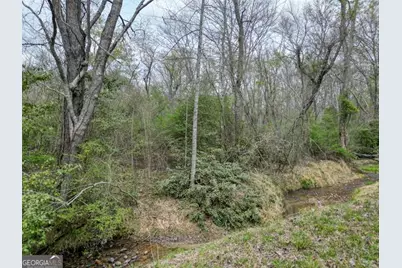 407 Highland Trace #TRACT E, Blairsville, GA 30512 - Photo 61