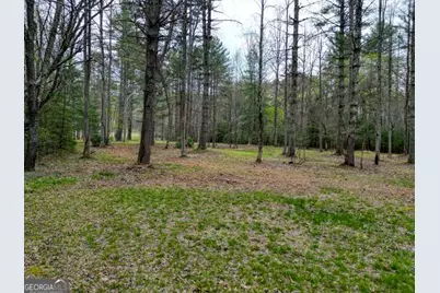 407 Highland Trace #TRACT E, Blairsville, GA 30512 - Photo 57