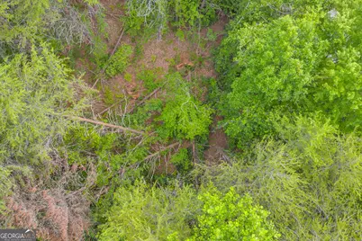 0 Trembly Bald Road, Toccoa, GA 30577 - Photo 25