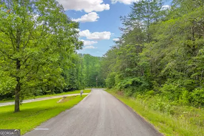 0 Trembly Bald Road, Toccoa, GA 30577 - Photo 15