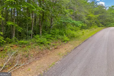 0 Trembly Bald Road, Toccoa, GA 30577 - Photo 17