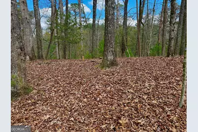 739 Hiawassee Court, Ellijay, GA 30540 - Photo 25