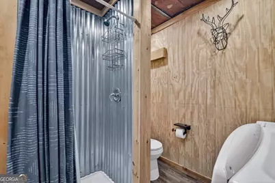 764 Ducktown Lane, Ellijay, GA 30540 - Photo 43