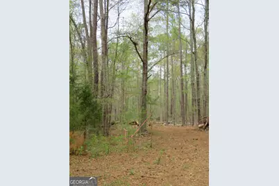 0 Oak Road, Jenkinsburg, GA 30234 - Photo 9