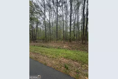 0 Oak Road, Jenkinsburg, GA 30234 - Photo 17