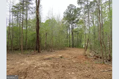 0 Oak Road, Jenkinsburg, GA 30234 - Photo 7