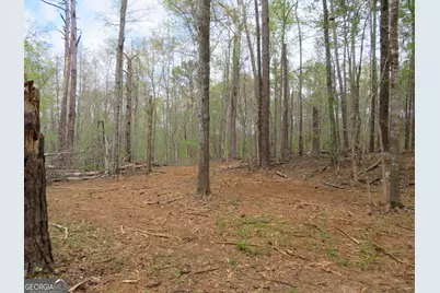 0 Oak Road, Jenkinsburg, GA 30234 - Photo 3