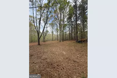 0 Oak Road, Jenkinsburg, GA 30234 - Photo 15