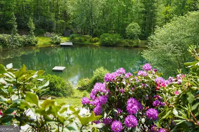 115 Dam Lake Drive, Dillard, GA 30537 - Photo 3