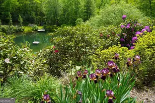 115 Dam Lake Dr, Dillard, GA 30537 - Photo 9