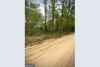 1310 Outlaw Grove Way, Soperton, GA 30457 - Photo 13