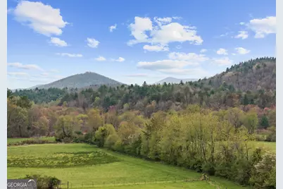 95 Hickory Avenue, Blue Ridge, GA 30513 - Photo 35