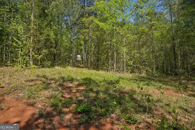 302 Goodwyne Road, Forsyth, GA 31029 - Photo 11