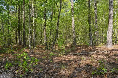 302 Goodwyne Road, Forsyth, GA 31029 - Photo 7